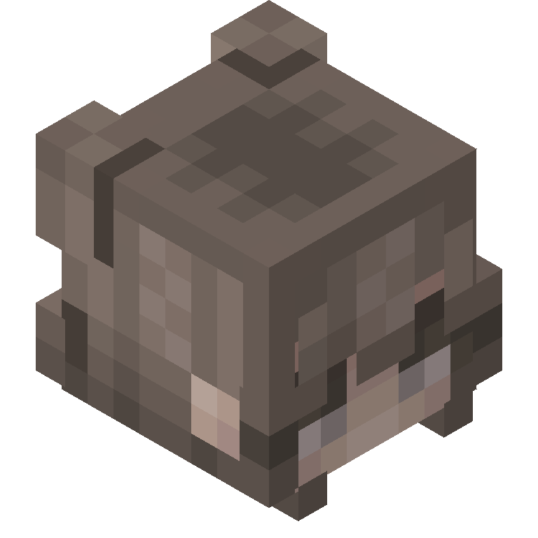 HEAD_ISO