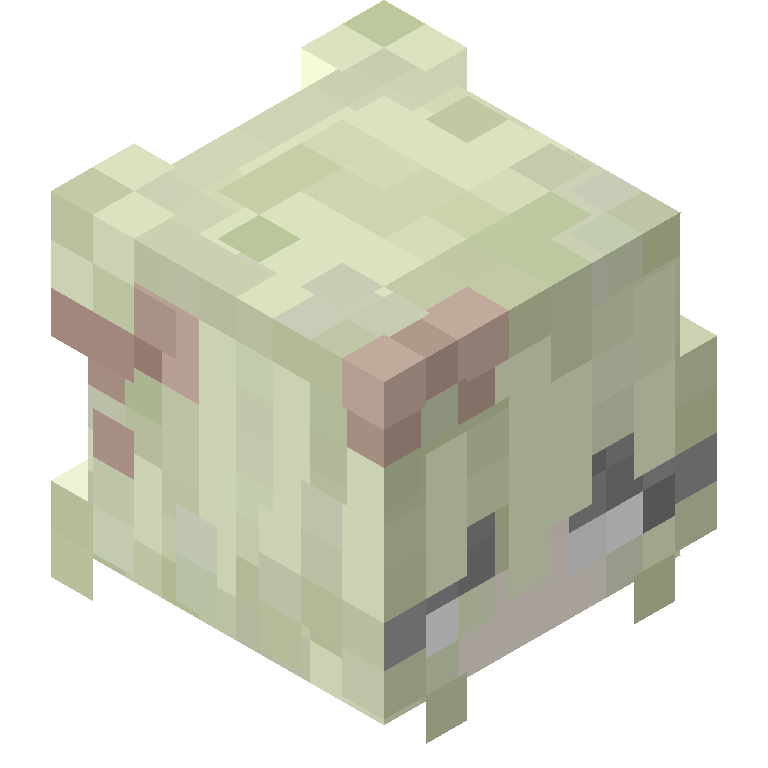HEAD_ISO