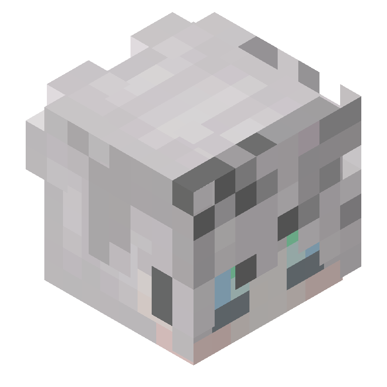 HEAD_ISO