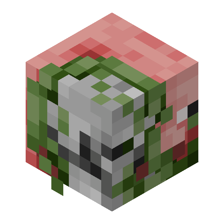 HEAD_ISO