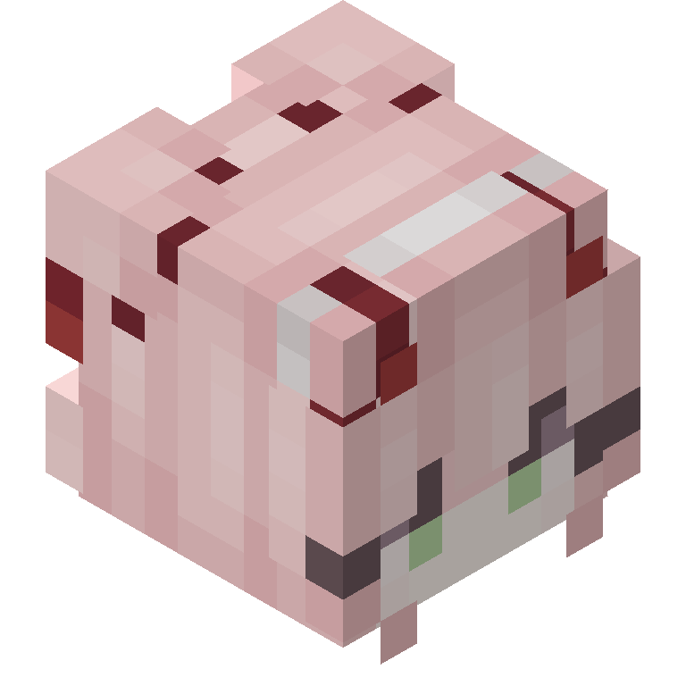 HEAD_ISO