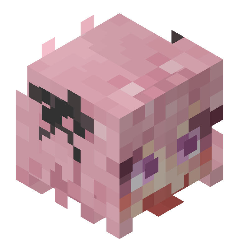 HEAD_ISO