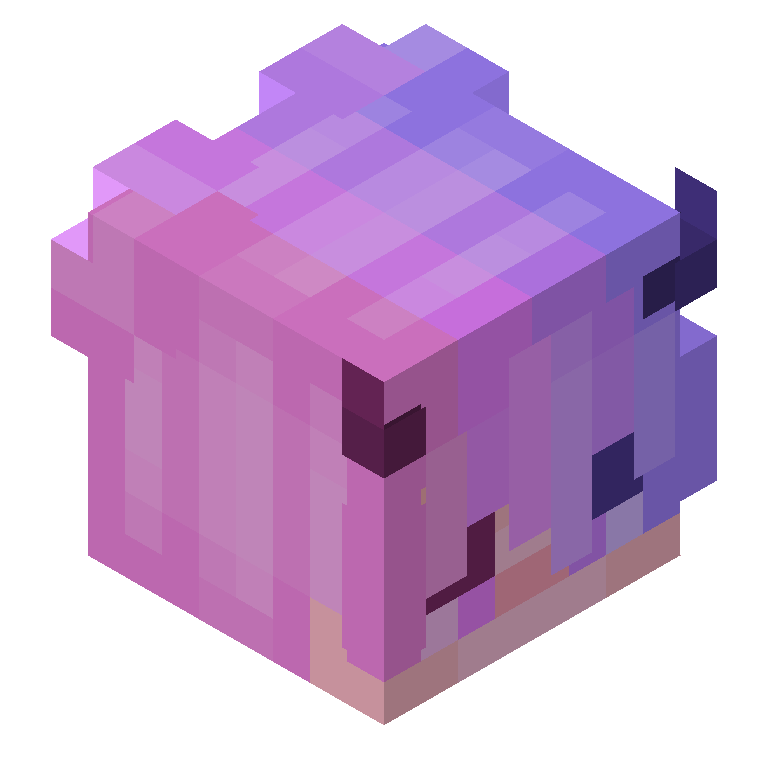 HEAD_ISO