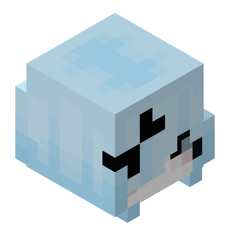 HEAD_ISO