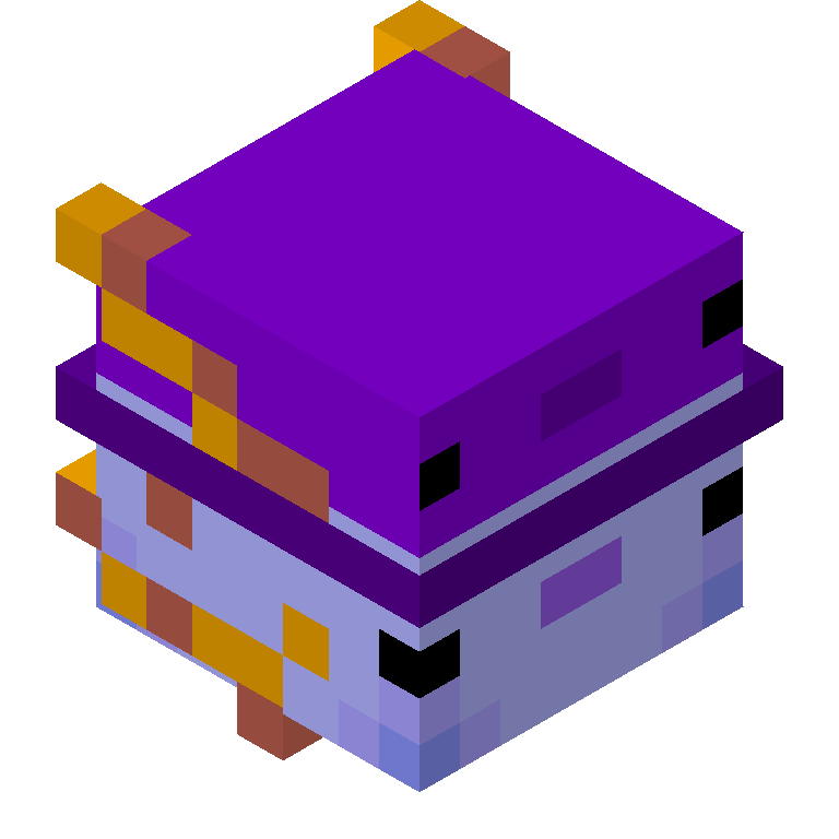 HEAD_ISO