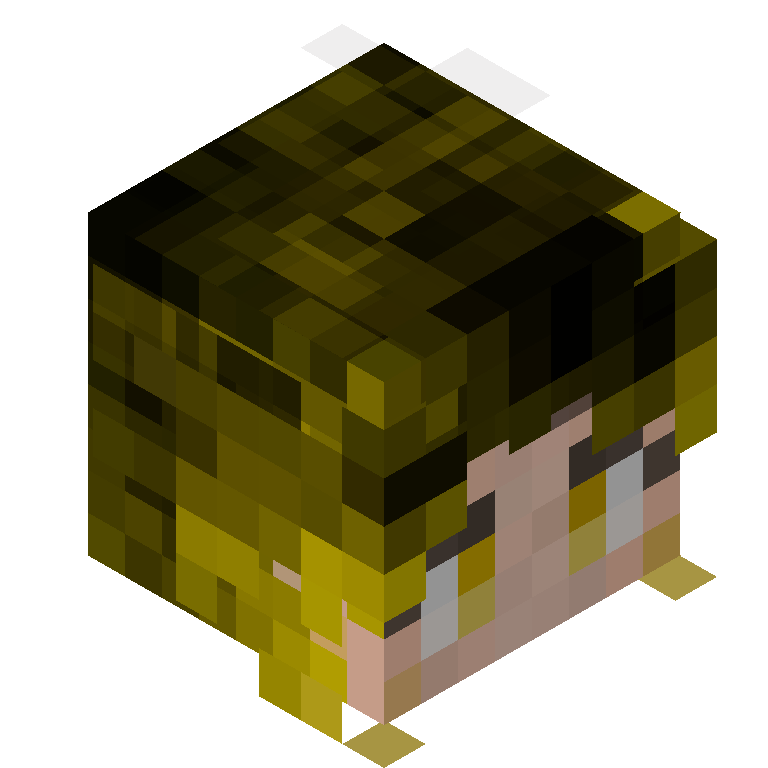 HEAD_ISO