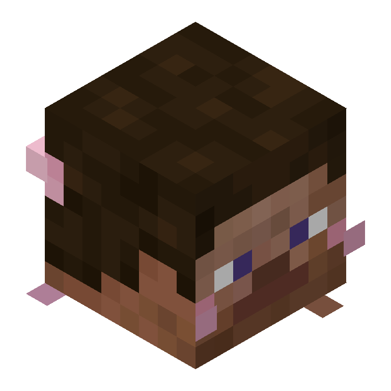 HEAD_ISO