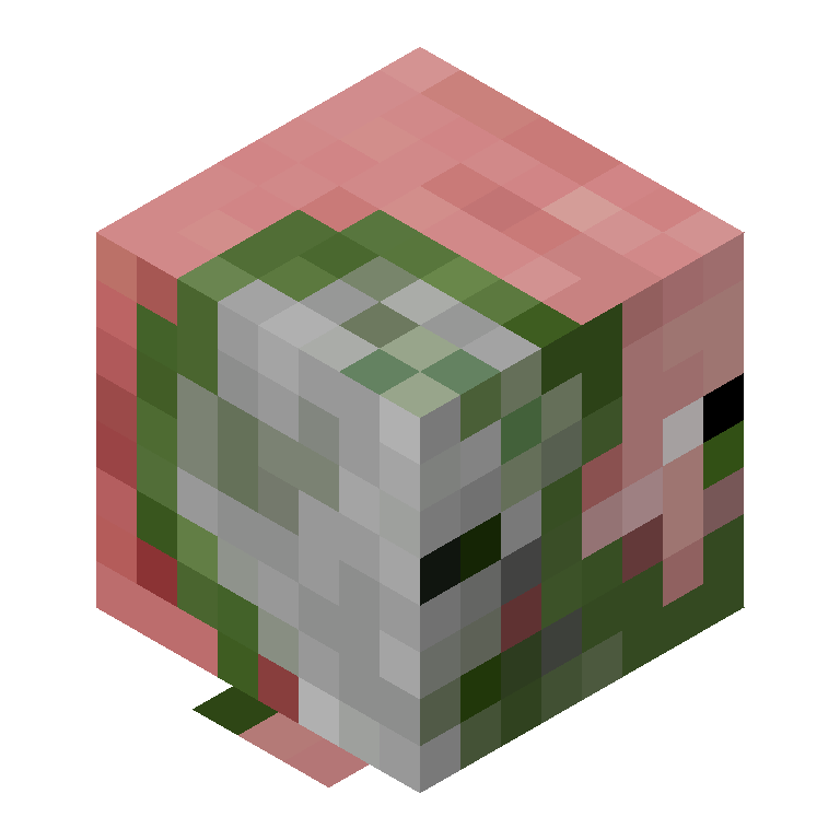 HEAD_ISO