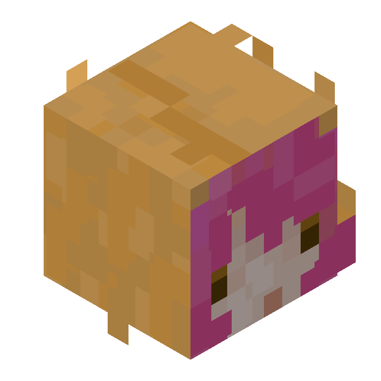 HEAD_ISO