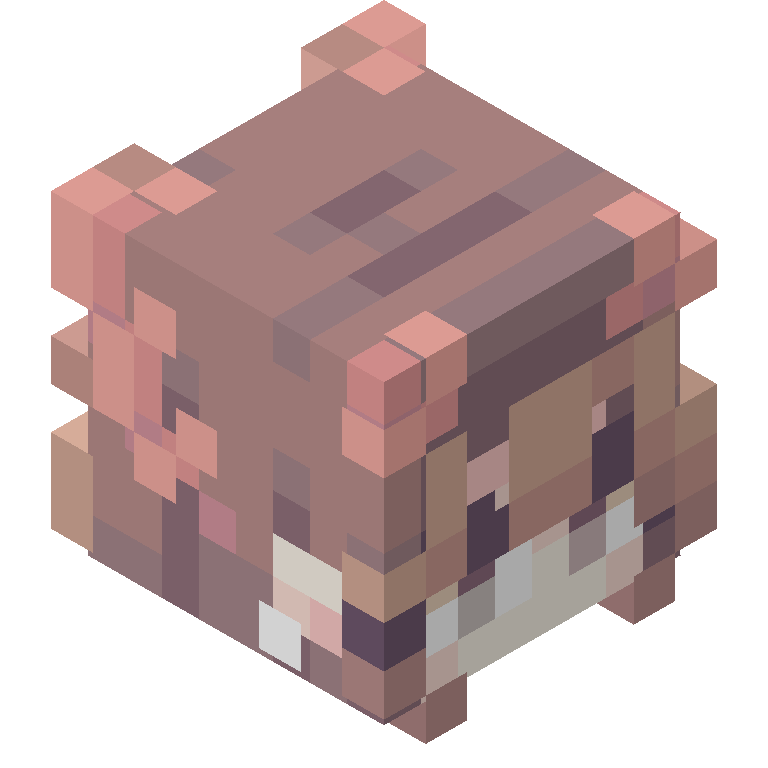 HEAD_ISO