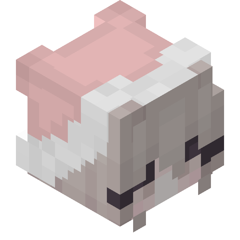 HEAD_ISO