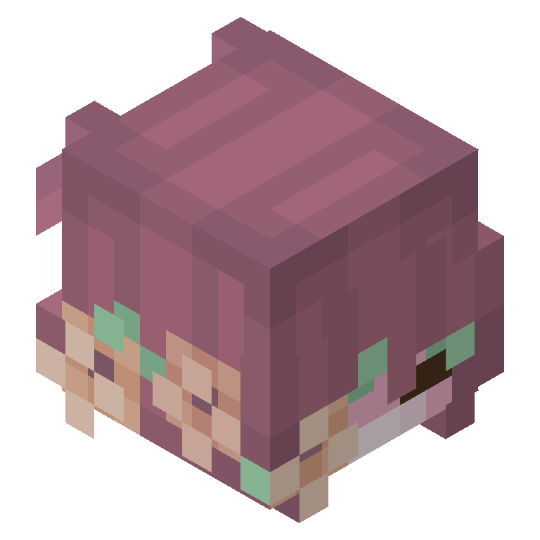 HEAD_ISO