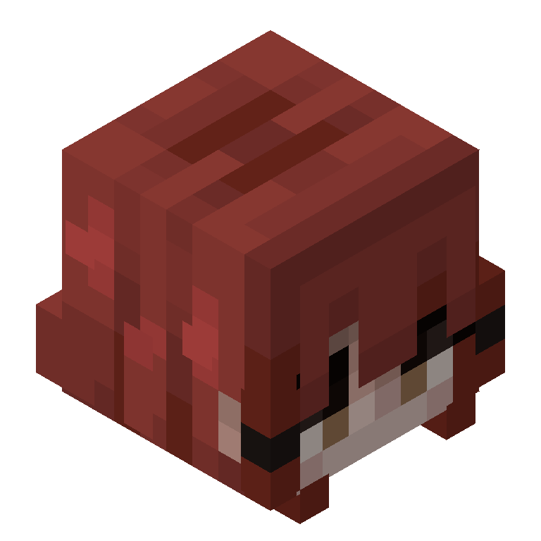 HEAD_ISO