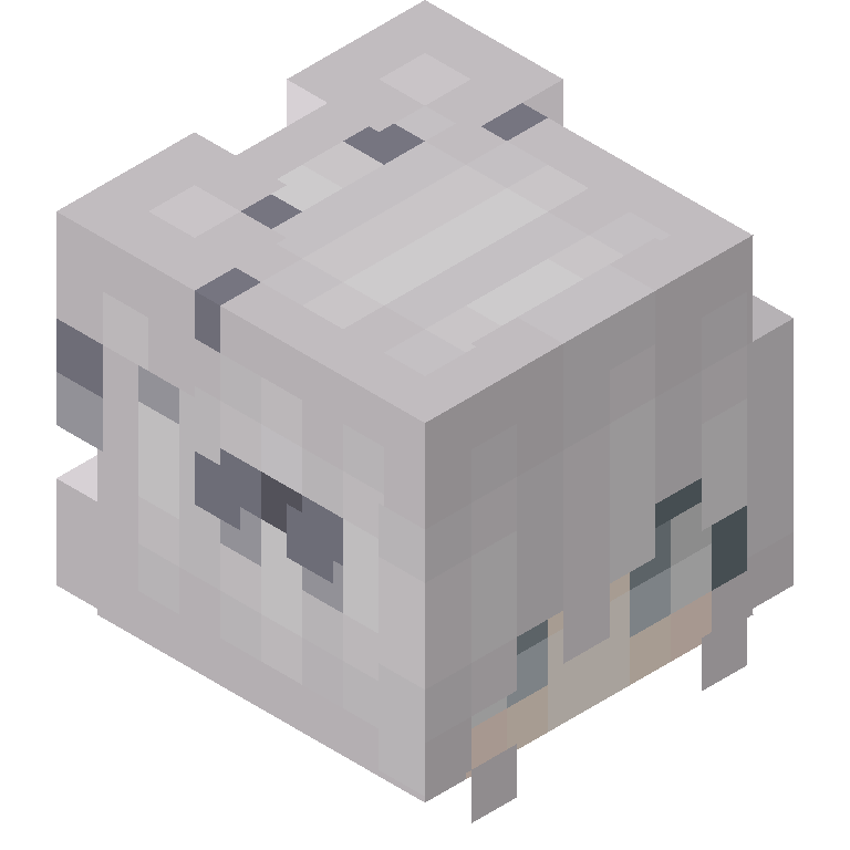 HEAD_ISO