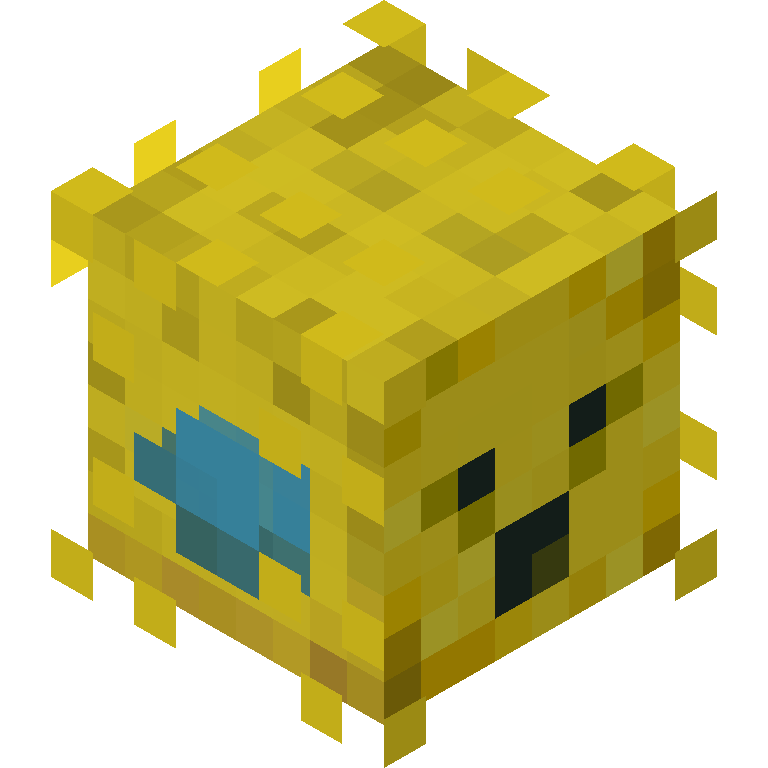 HEAD_ISO