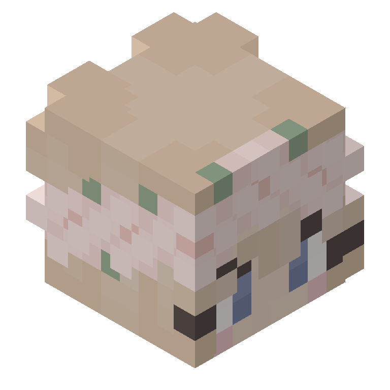 HEAD_ISO