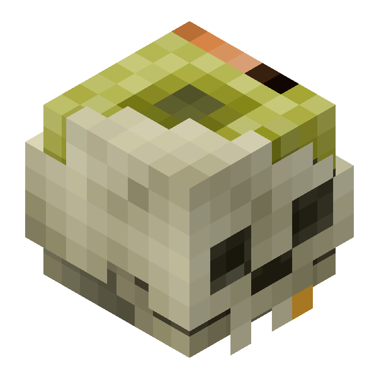 HEAD_ISO