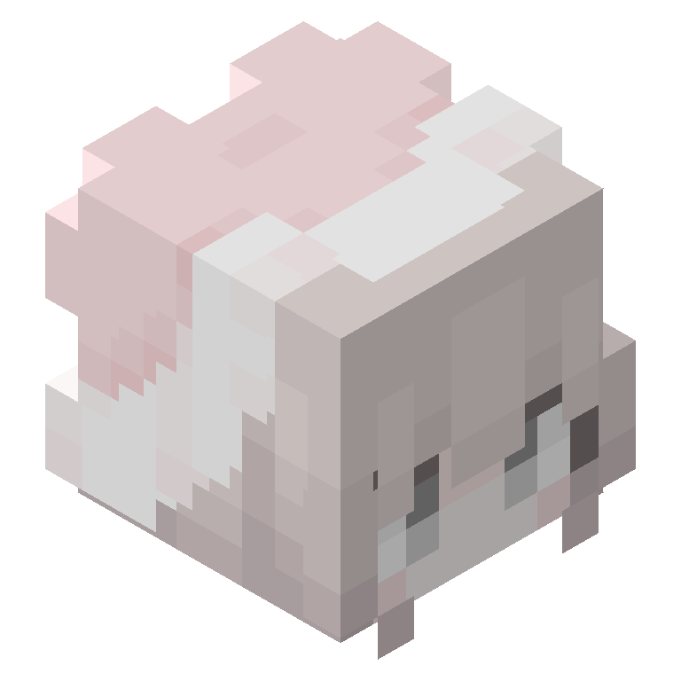 HEAD_ISO