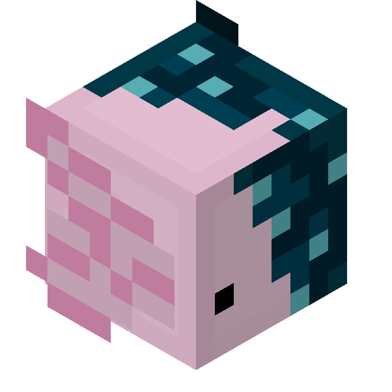 HEAD_ISO