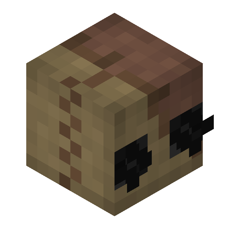 HEAD_ISO