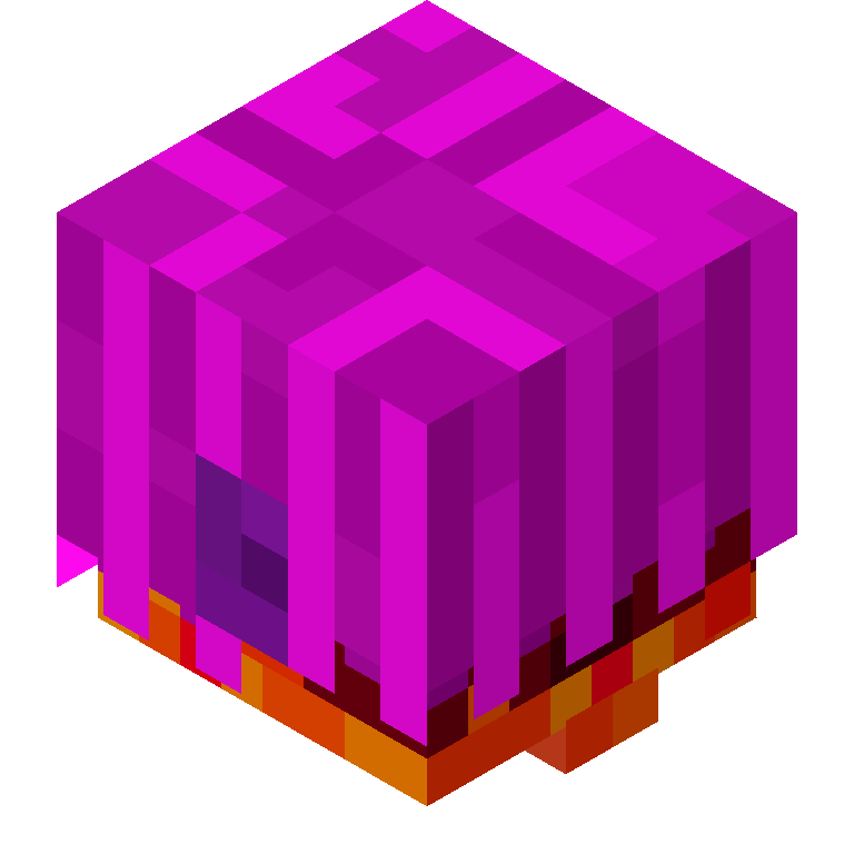HEAD_ISO