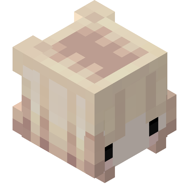 HEAD_ISO