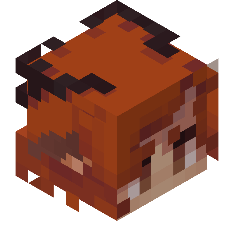 HEAD_ISO