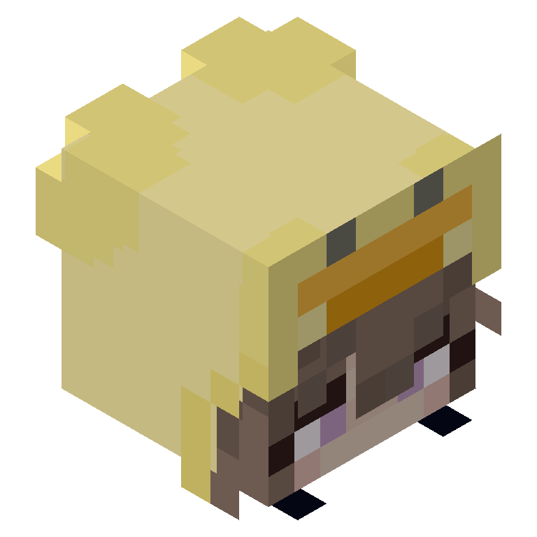 HEAD_ISO