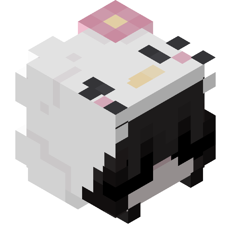 HEAD_ISO