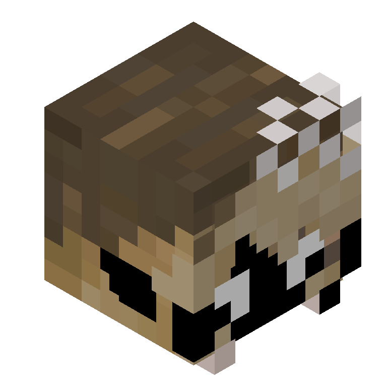 HEAD_ISO