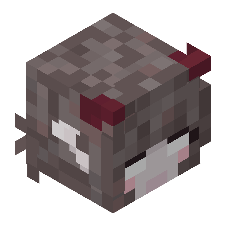 HEAD_ISO