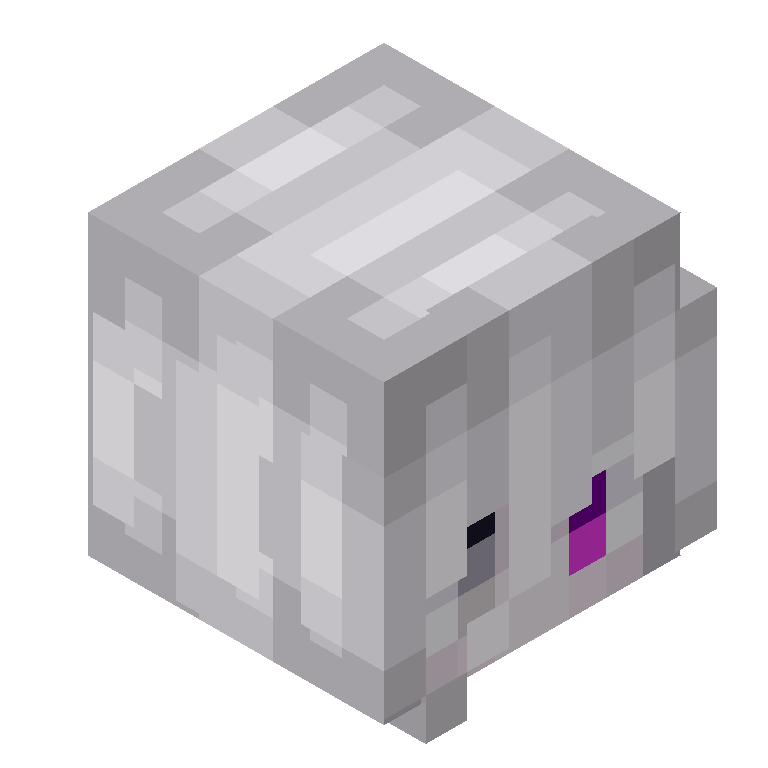 HEAD_ISO