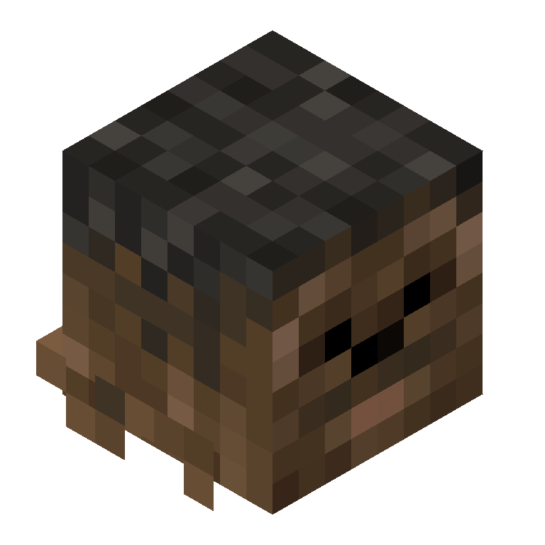 HEAD_ISO