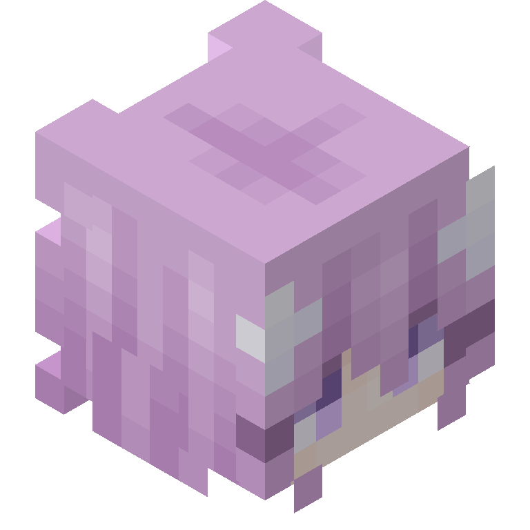 HEAD_ISO