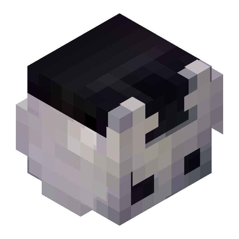 HEAD_ISO