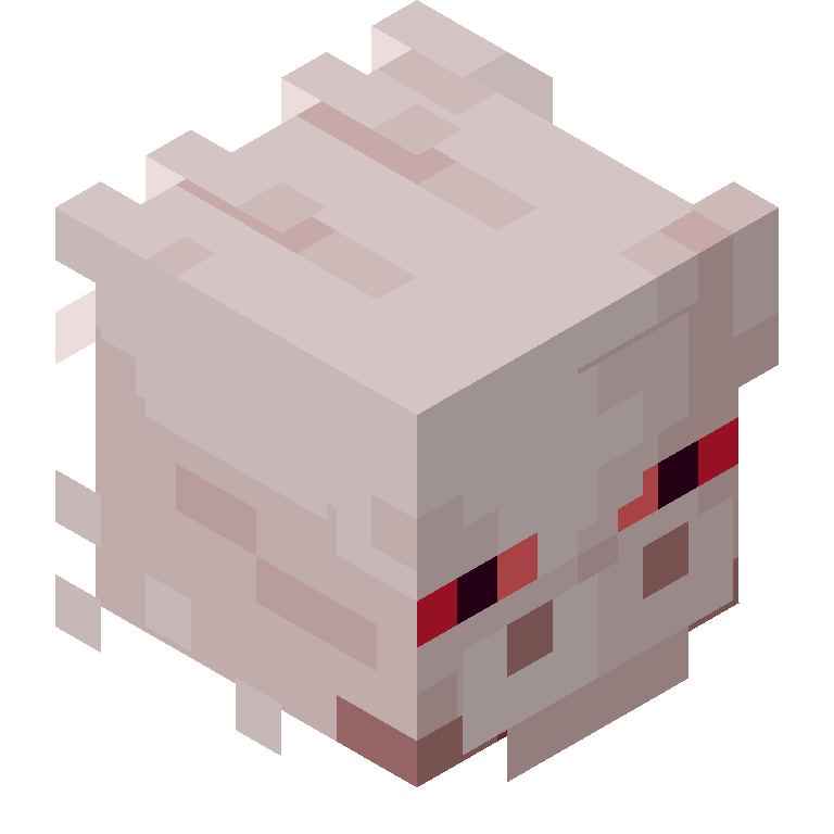 HEAD_ISO