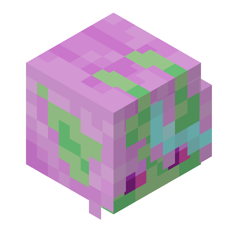 HEAD_ISO