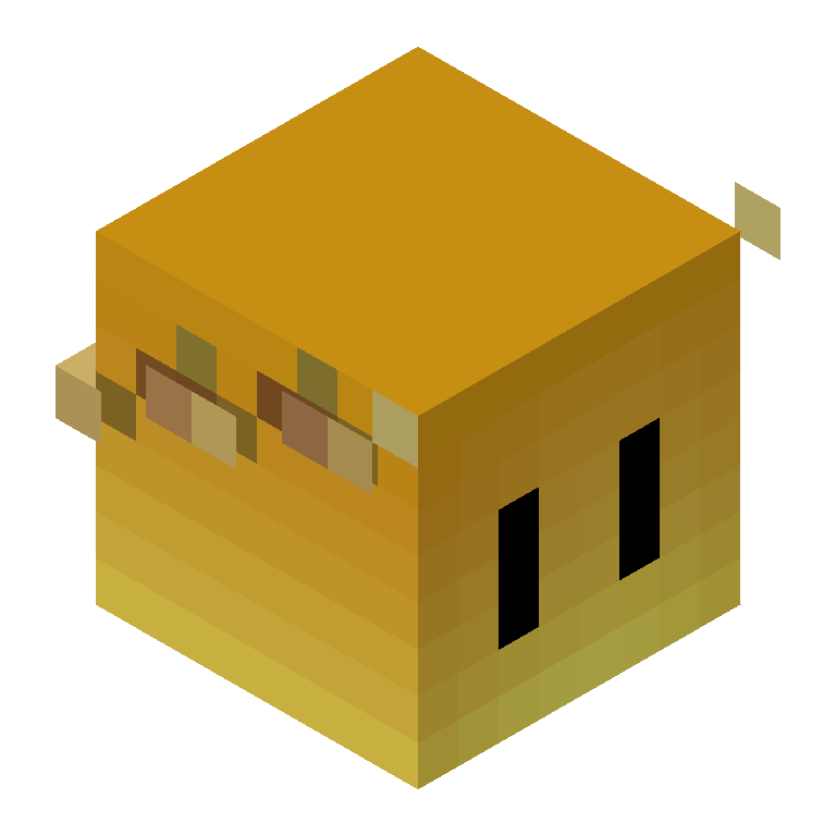 HEAD_ISO