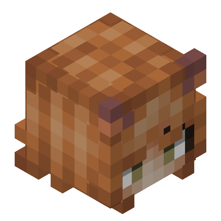HEAD_ISO