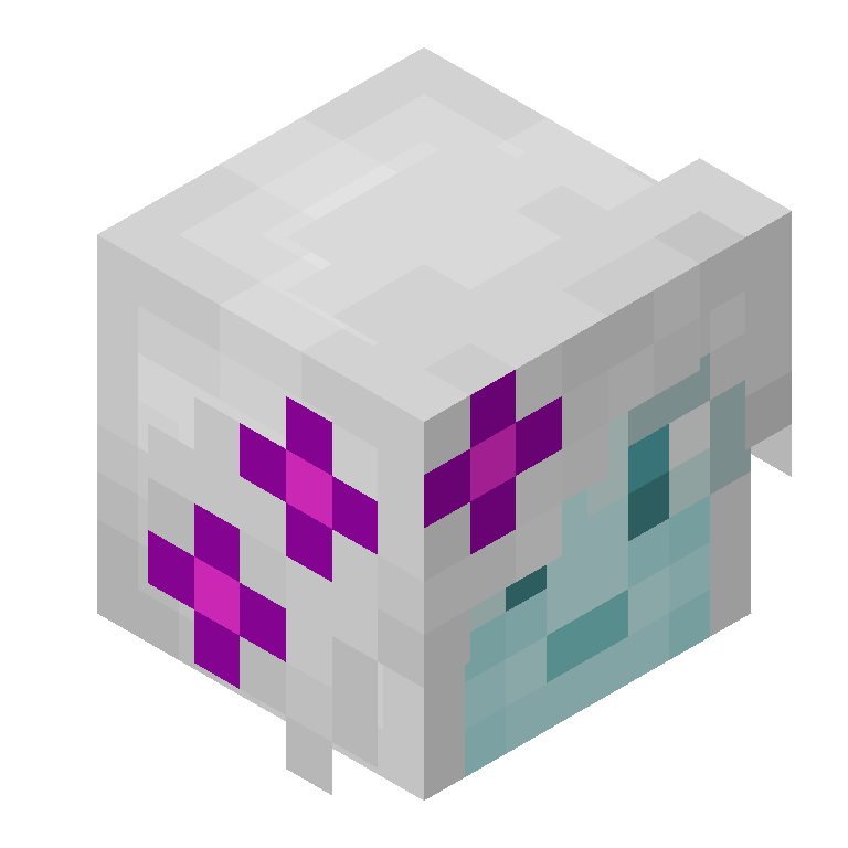 HEAD_ISO