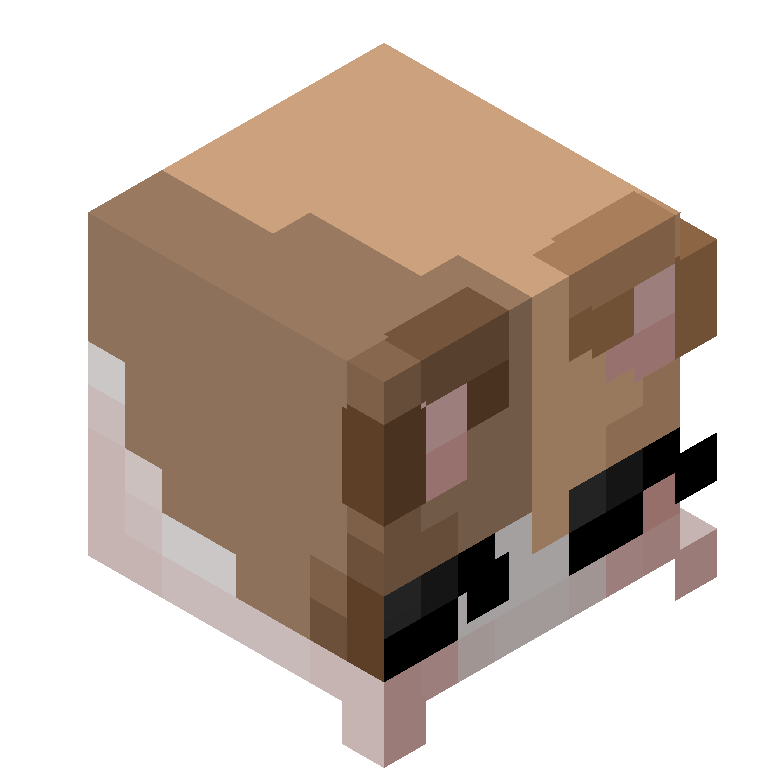 HEAD_ISO