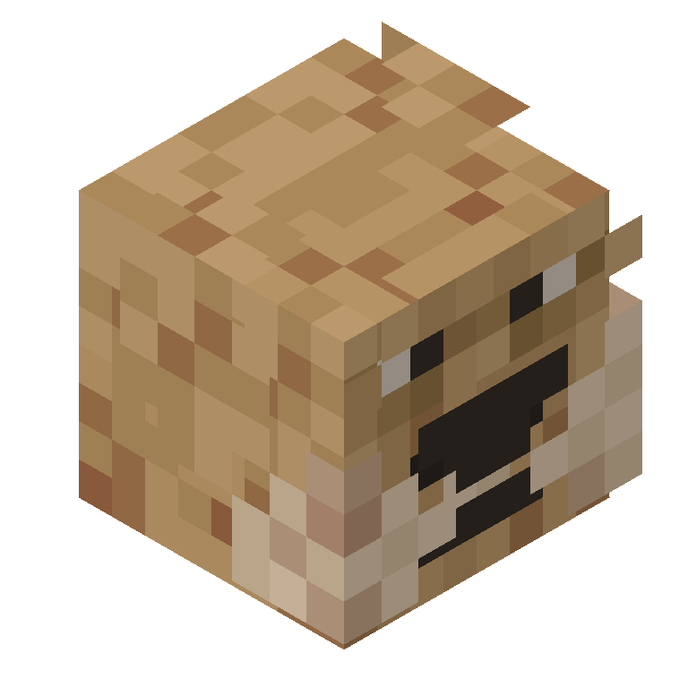HEAD_ISO