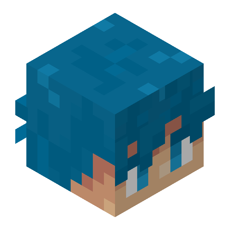 HEAD_ISO