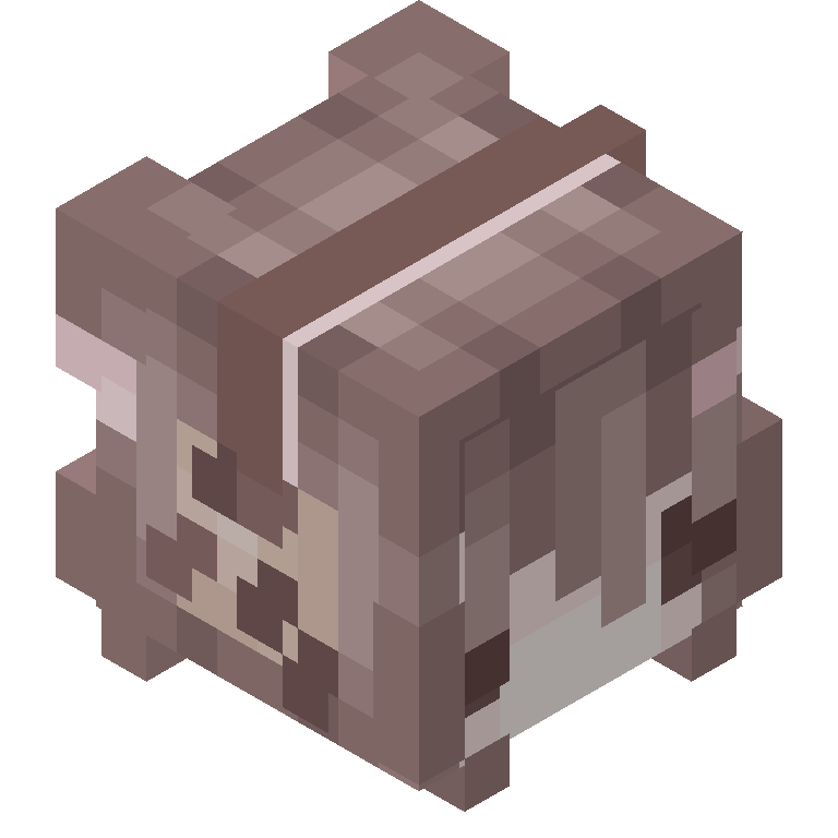 HEAD_ISO