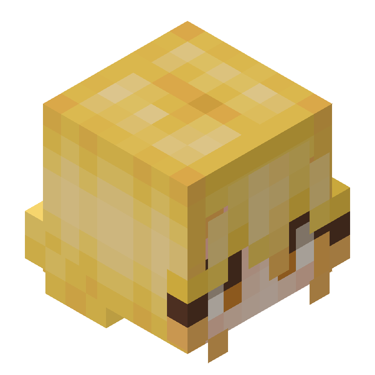 HEAD_ISO