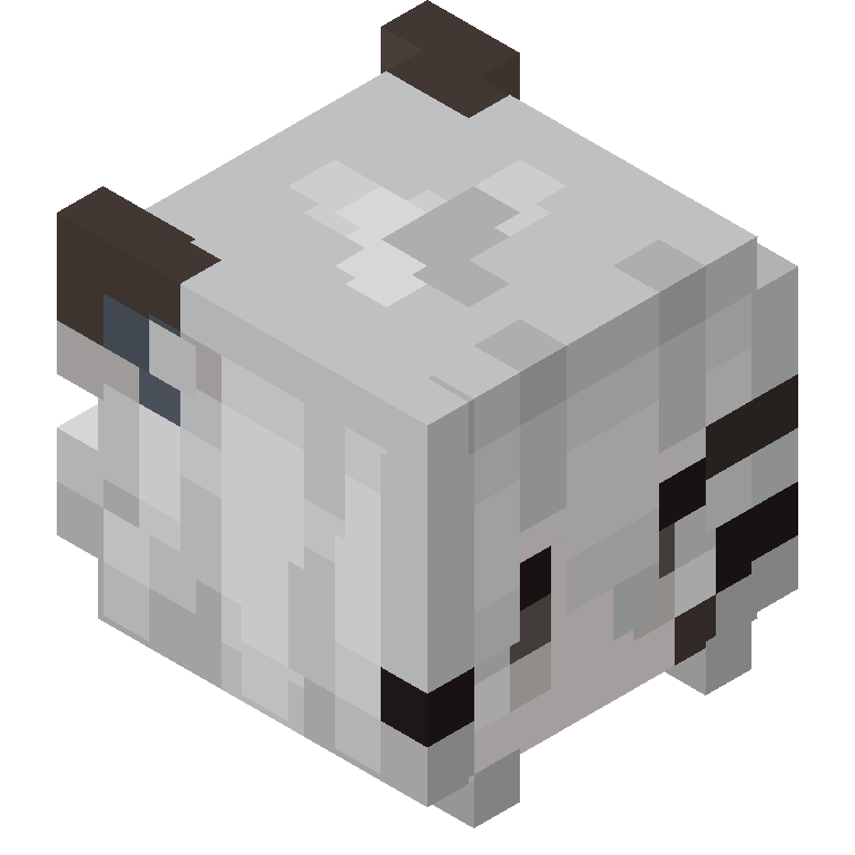 HEAD_ISO