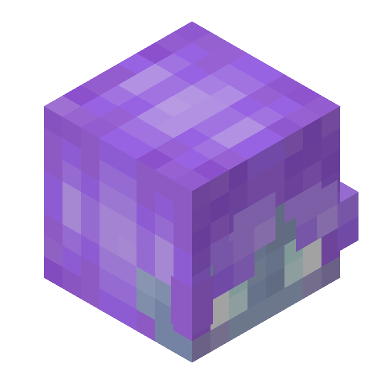 HEAD_ISO
