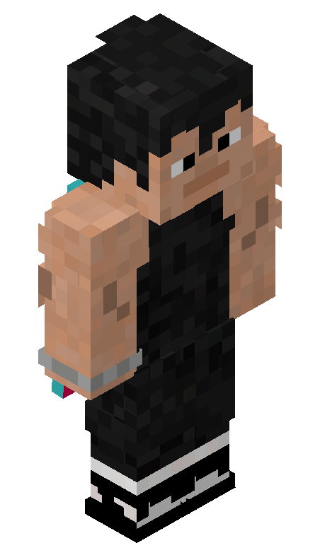 LightMirror7 skin - FULLBODY_ISO_FRONT