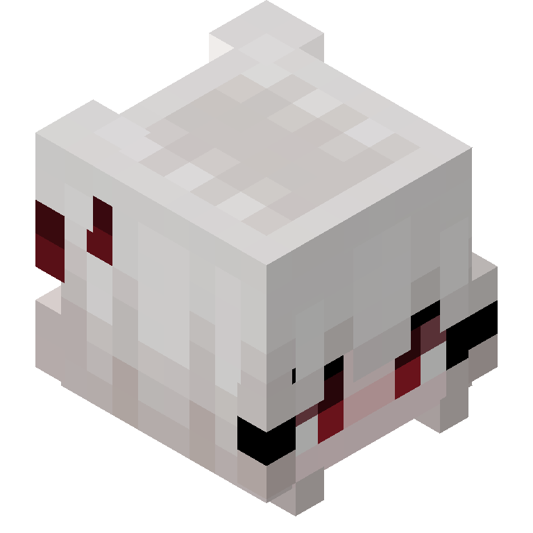 HEAD_ISO