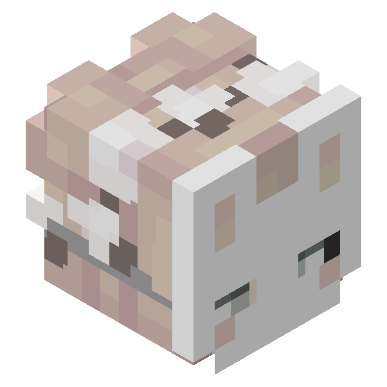 HEAD_ISO